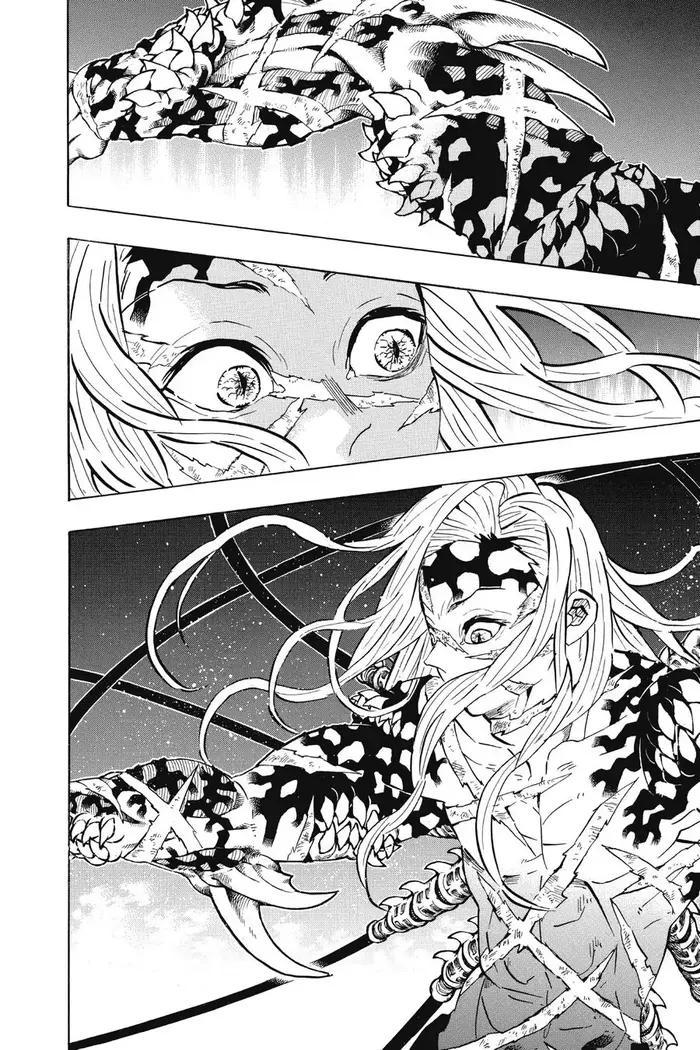 Demon Slayer Chapter 194 image 18_optimized